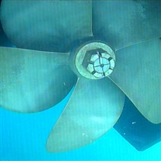 Prop