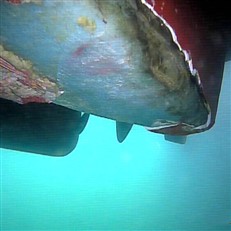 Hull Damage